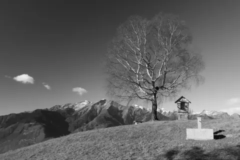 Monti di Loga
